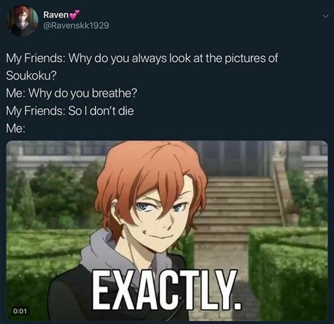 Bungou Stray Dogs Memes Bungou Stray Dogs Stray Dogs Anime Bongou