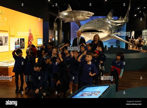 Australian Diversity School Hi Res Stock Photography And Images Alamy