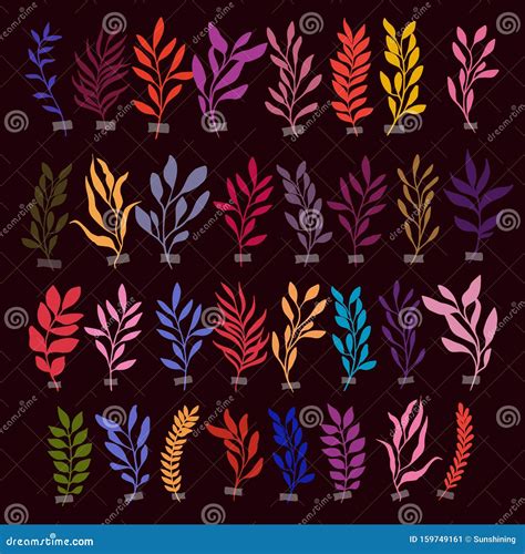 Set Of Vector Botanic Illustrations Clipart Stock Vector Illustration