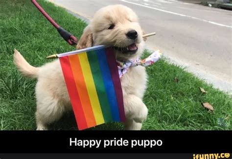 A Puppy Holding A Rainbow Flag In Its Mouth