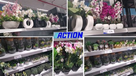 Arrivage Action Plantes Artificielles Septembre 2021 YouTube