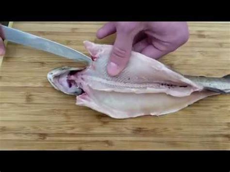 Kako Filetirati Pastrmku How To Fillet A RAINBOW TROUT YouTube