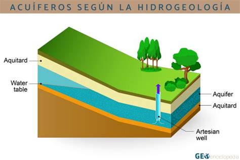 Tipos De Acu Feros Clasificaci N Y Caracter Sticas