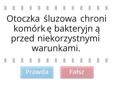 Kom Rka Ro Linna I Inne Rodzaje Kom Rek Materia Y Dydaktyczne