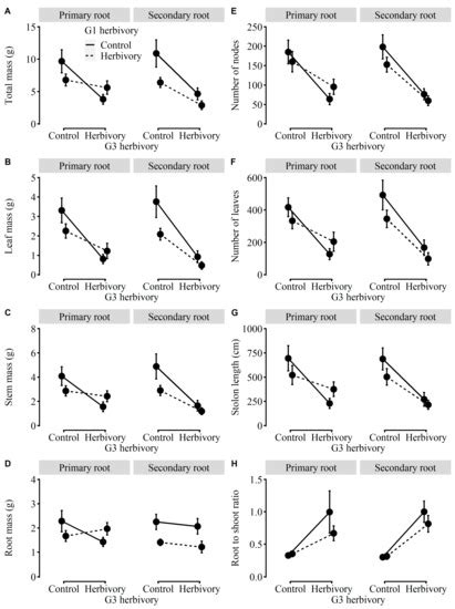 Plants Free Full Text Transgenerational Herbivory Effects On