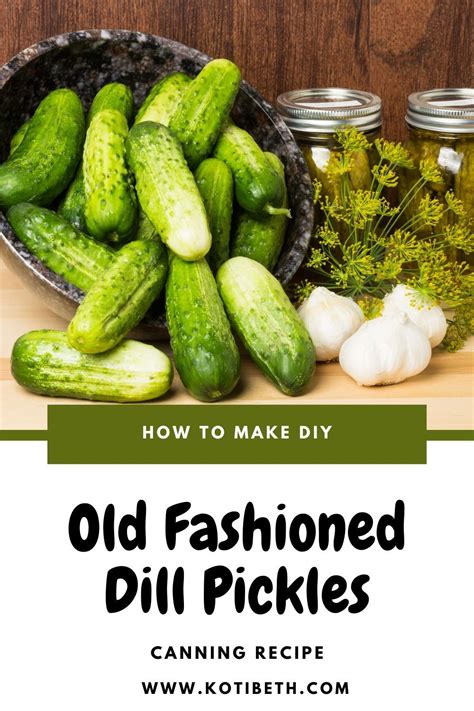 Old Fashioned Dill Pickle Recipe Plus Directions For Canning Pickling