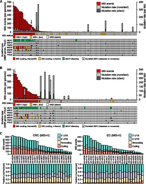 Figure 1 From The Landscape Of Microsatellite Instability In Colorectal