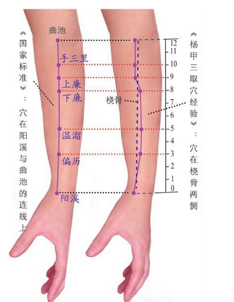 7 温溜 中医学 医学