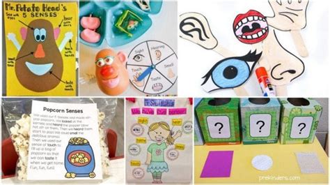 20 Five Senses Activities to Engage Young Students | WeAreTeachers