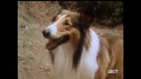 Lassie Episode 437 The Protectors Season 13 Ep 20 2 05 1967