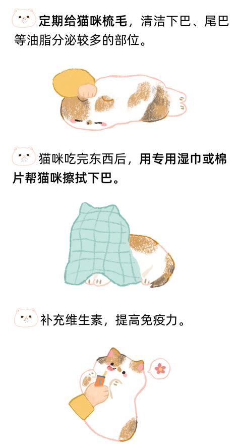 猫咪黑下巴别挤也别抠！内含解决方法！ 猫专区 深圳市联合宠物医院