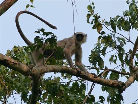 Bhutan walking and wildlife holiday | Responsible Travel