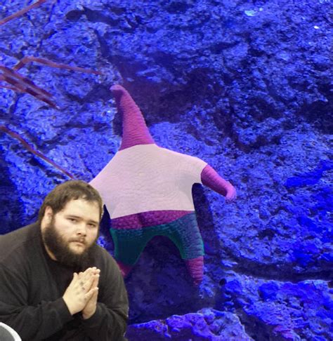 Nice Thicc Starfish Know Your Meme