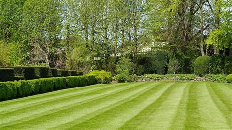 Why Topdressing Your Lawn Is The Easiest Way To Get Gorgeous Grass