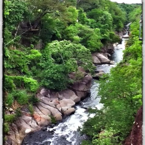 Canopy Over The Calorado River