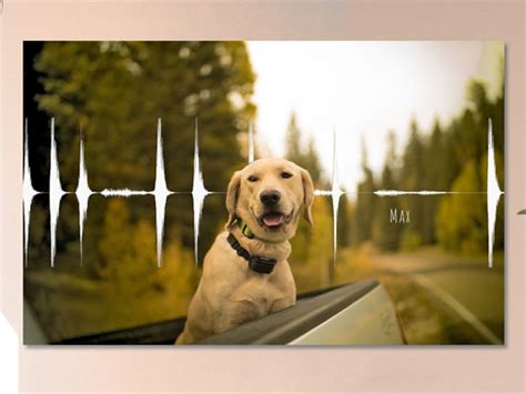 Dog Bark Soundwave with Photo - 🥇 Soundwave Art