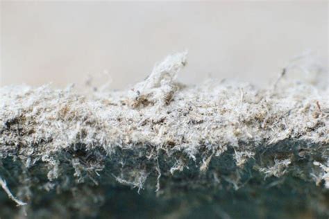 General Asbestos Removal And Restoration Asbestos Mold And Lead