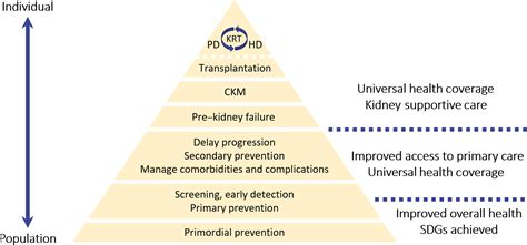 Conservative Kidney Management And Kidney Supportive Care Core