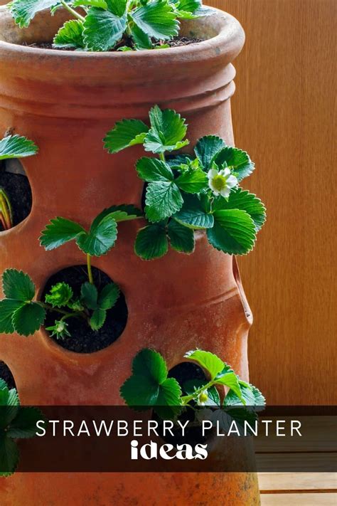 11 Strawberry Planters Ideas • Longbourn Farm