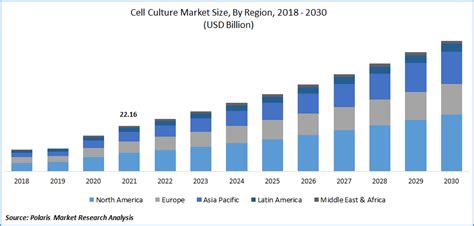 Global Cell Culture Market Size Report 2022 2030