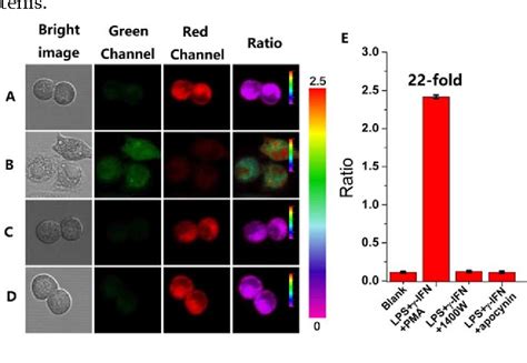 Figure From Fret Based Mito Specific Fluorescent Probe For