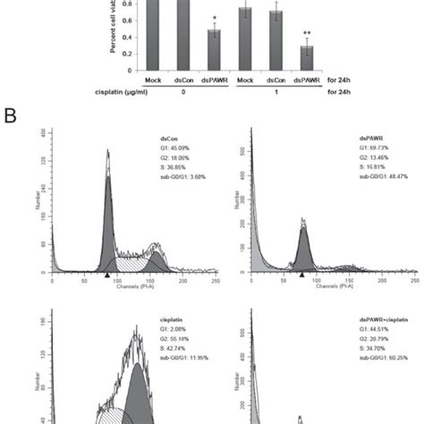 A DsPAWR 435 Cooperates With Cisplatin In Inhibiting The Viability