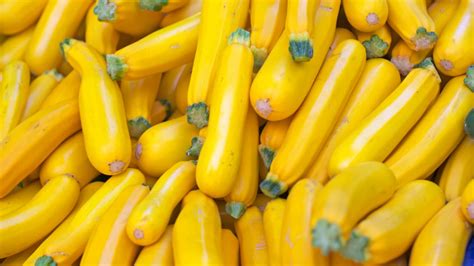 23 Best Summer Squash Recipes That Are Easy To Make Whimsy And Spice