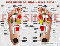 Mappa Riflessologia Plantare In Italiano Punti Del Piede