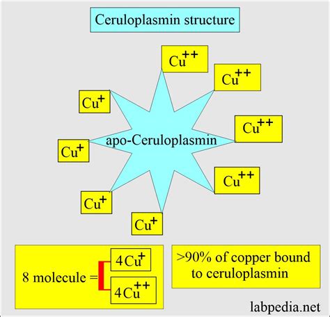 Ceruloplasmin, Acute Phase Protein - Labpedia.net