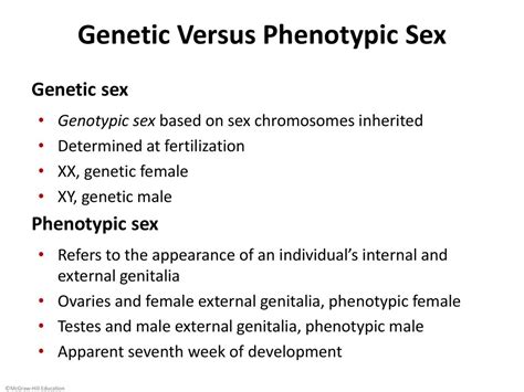 Reproductive System Male Ppt Download