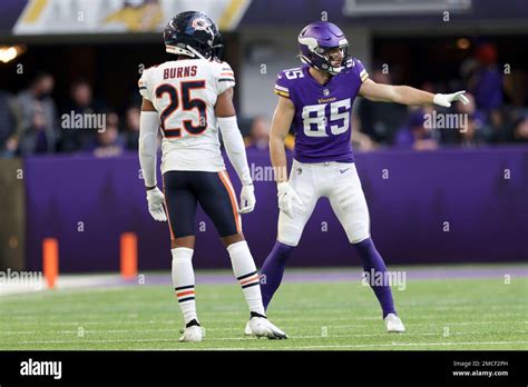 Minnesota Vikings Wide Receiver Dan Chisena 85 In Action Against