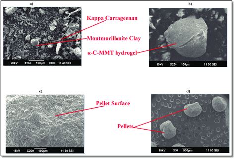 SEM photograph of a Physical mixture of κ carr and MMT B κ Carr MMT