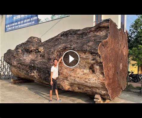 Tractorgallery Net 2021 Amazing Sawmill Wood Cutting Super Huge Old