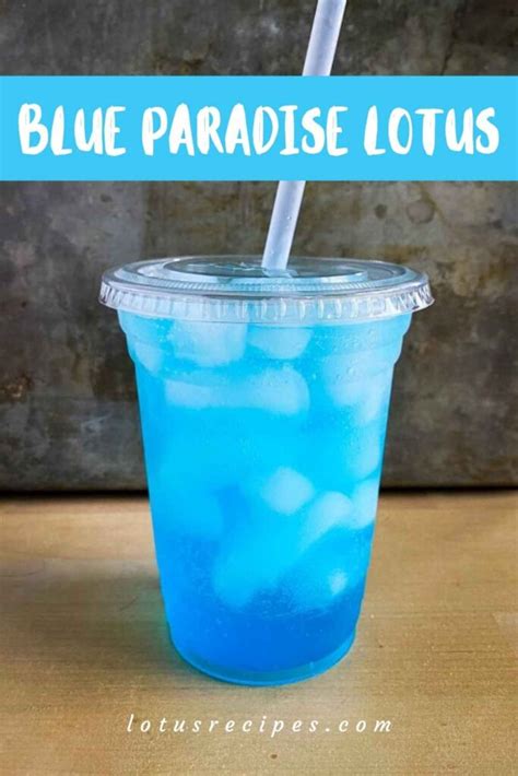 Blue Paradise Lotus Drink - Lotus Recipes