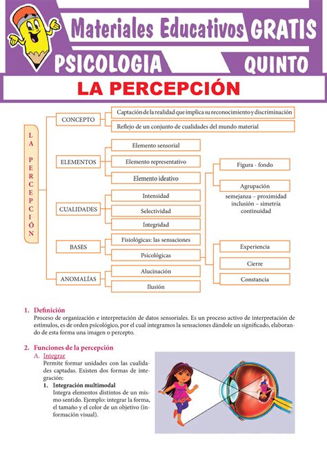 7 La Percepción Proceso De Organización E Interpretación De Datos