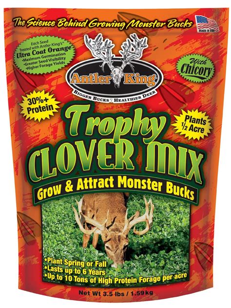 Attract Them With The Best Clover For Deer Plots Good Game Hunting