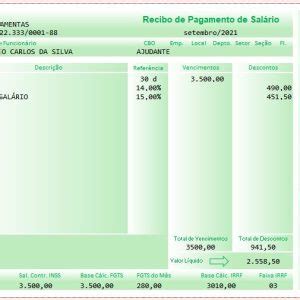 Modelo Holerite Comprovante De Renda Edit Vel Hoststorm