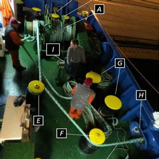 Forecastle deck snap back zones (starboard side). Each zone is... | Download Scientific Diagram