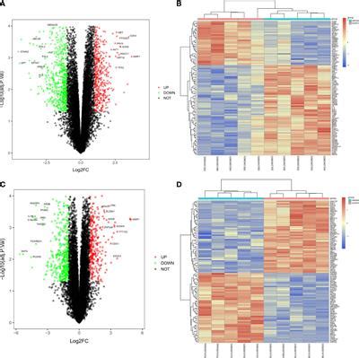 Frontiers Shp Induced M Polarization Of Tumor Associated