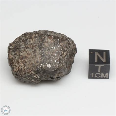 Nwa 869 Meteorite 869 315 The Meteorite Exchange Inc