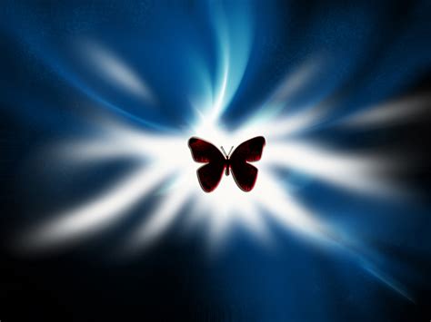 Butterfly Silhouette Butterflies Wallpaper 39437630 Fanpop