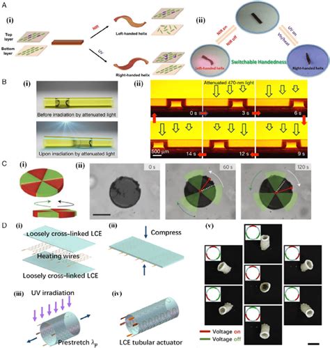 Versatile Deformation Actuations Of Lces Based On Selective External