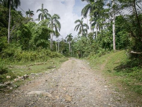 A Guide To El Yunque National Park Near Baracoa Ulysses Travel