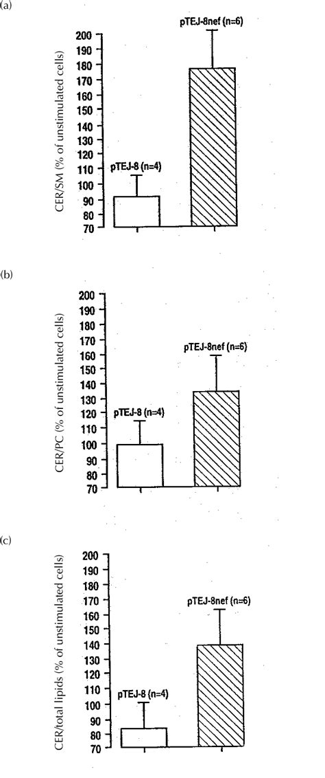 Enhancement of tumour necrosis factor TNF α induced ceramide