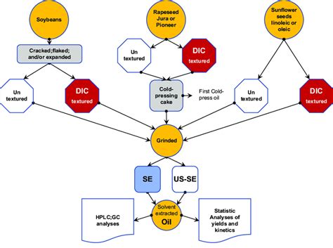 1 Diagram of experimental protocol of the current study including ... 