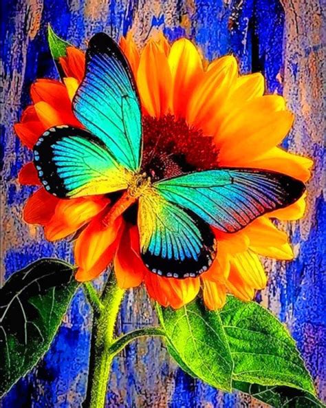 Blue Butterfly On Sunflower Painting Art Of Paint By Numbers