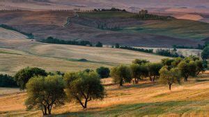 Terrapille Pienza Val D Orcia Tuscany Italy Windows Spotlight Images