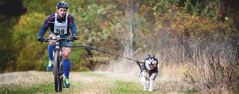 What Is Bikejoring Getting Started Equipment Best Breeds