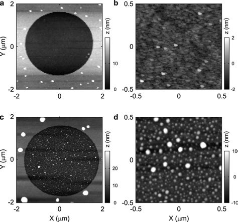 Surface And Nanoparticle Film Topology A Afm Scan Of A 27 μm Diameter