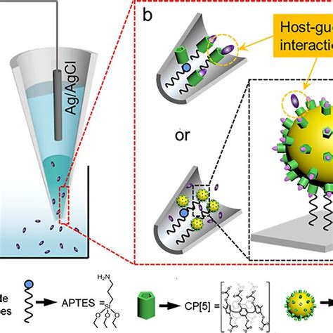 Schematic Illustration Of Silica Nanopipette Sensor Based On Hostguest